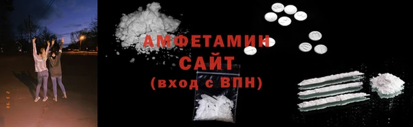 индика Верхний Тагил