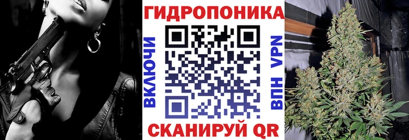 сколько стоит  KRAKEN как зайти  Бошки марихуана AK-47  Октябрьский 